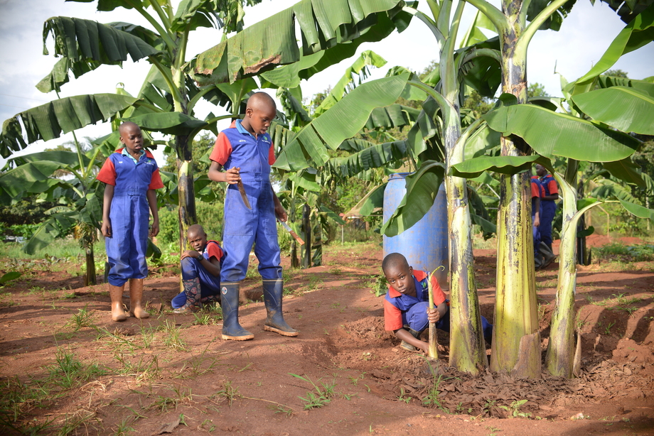 Kids learning on the farm