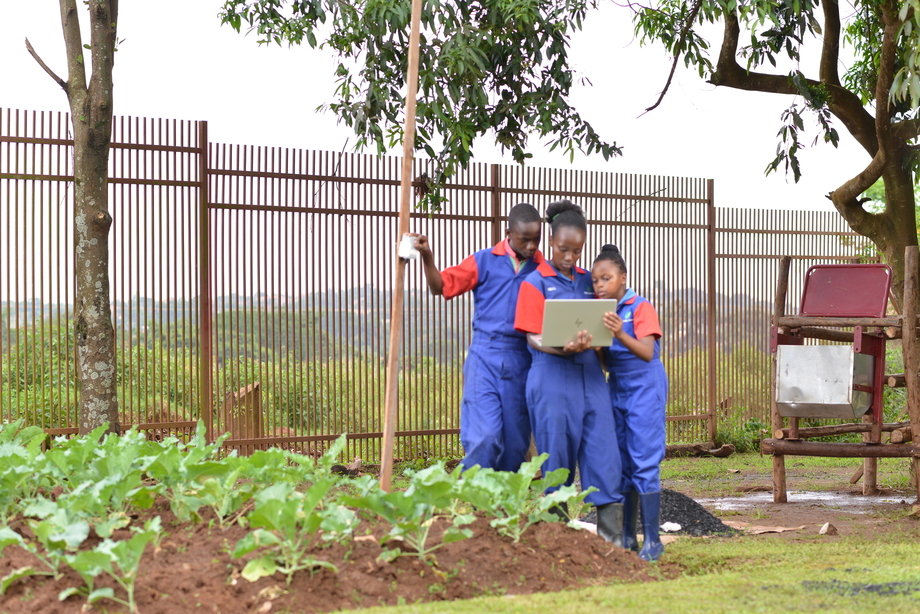 Students using a laptop on the farm